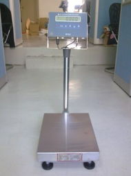 东莞磅秤,报价,防暴磅秤