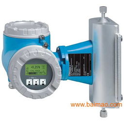 德国E+H科氏力质量流量计83E 选购指南、厂家信息与价格解析